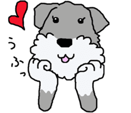 egoistic girl. model Schnauzer sticker #3991069