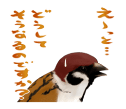 the modest sparrow sticker #3993172