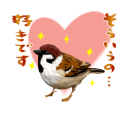 the modest sparrow sticker #3993176