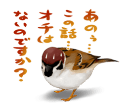the modest sparrow sticker #3993190