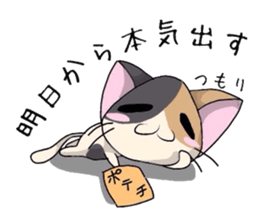 White cat and tortoiseshell cat ver.2 sticker #3993736