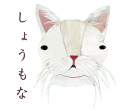 White Cat"HANNARI" sticker #3993925