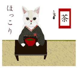 White Cat"HANNARI" sticker #3993943
