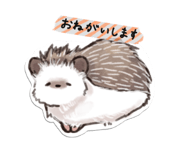 petapeta hedgehog sticker #3995397