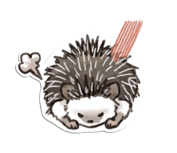 petapeta hedgehog sticker #3995400