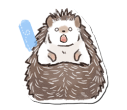 petapeta hedgehog sticker #3995401
