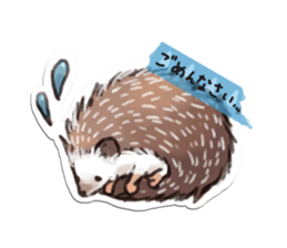 petapeta hedgehog sticker #3995407