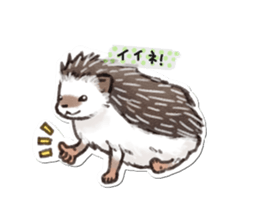 petapeta hedgehog sticker #3995413