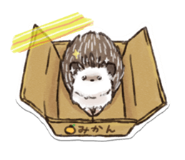 petapeta hedgehog sticker #3995416