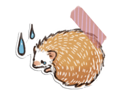 petapeta hedgehog sticker #3995422