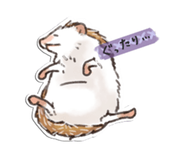 petapeta hedgehog sticker #3995424