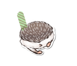 petapeta hedgehog sticker #3995425