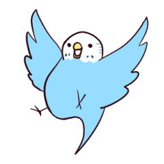 Budgerigar mood part2