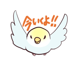 Budgerigar mood part2 sticker #3996916