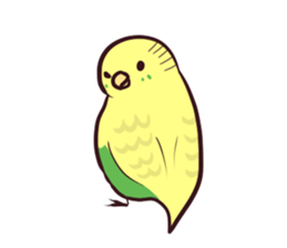 Budgerigar mood part2 sticker #3996917