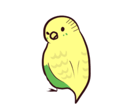 Budgerigar mood part2 sticker #3996917