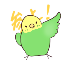 Budgerigar mood part2 sticker #3996921