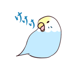 Budgerigar mood part2 sticker #3996925