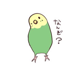 Budgerigar mood part2 sticker #3996928