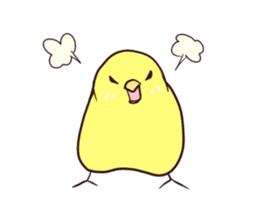 Budgerigar mood part2 sticker #3996938
