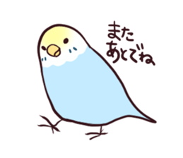 Budgerigar mood part2 sticker #3996939