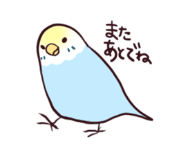 Budgerigar mood part2 sticker #3996939
