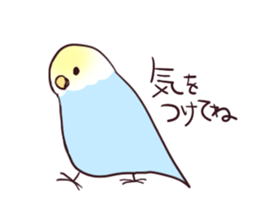 Budgerigar mood part2 sticker #3996946