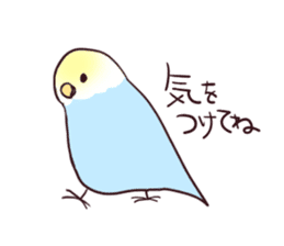 Budgerigar mood part2 sticker #3996946