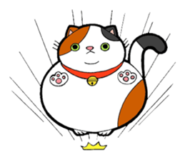 Tortoiseshell cat Chibibi sticker #3998303