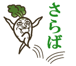 The radish sticker #4000114