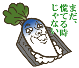 The radish sticker #4000127