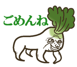 The radish sticker #4000135