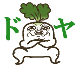 The radish sticker #4000138