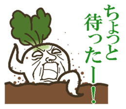 The radish sticker #4000143