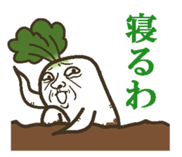 The radish sticker #4000144