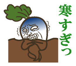The radish sticker #4000145