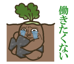 The radish sticker #4000147