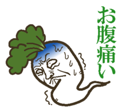 The radish sticker #4000148