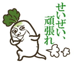 The radish sticker #4000150