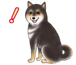 Black-Shiba Sticker sticker #4000431