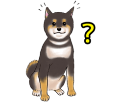 Black-Shiba Sticker sticker #4000432