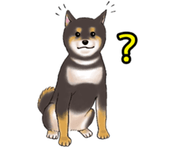 Black-Shiba Sticker sticker #4000432