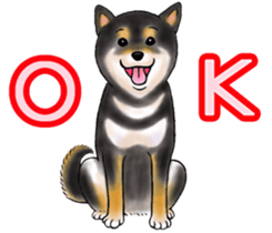 Black-Shiba Sticker sticker #4000435