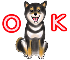 Black-Shiba Sticker sticker #4000435