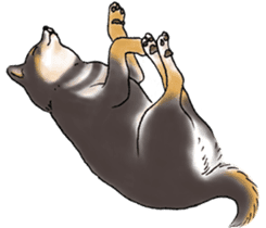 Black-Shiba Sticker sticker #4000437