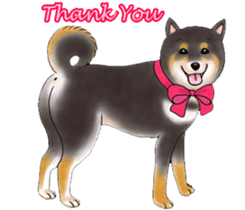 Black-Shiba Sticker sticker #4000438