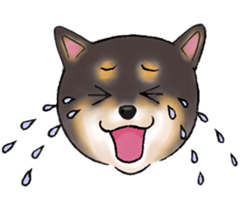 Black-Shiba Sticker sticker #4000439