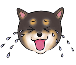 Black-Shiba Sticker sticker #4000439