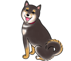 Black-Shiba Sticker sticker #4000442