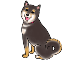 Black-Shiba Sticker sticker #4000442